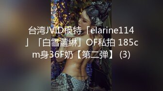 台湾JVID模特「elarine114」「白雪蘿綝」OF私拍 185cm身36F奶【第二弹】 (3)