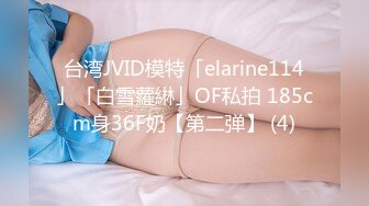 台湾JVID模特「elarine114」「白雪蘿綝」OF私拍 185cm身36F奶【第二弹】 (4)