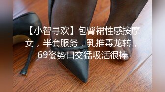 【小智寻欢】包臀裙性感按摩女，半套服务，乳推毒龙转，69姿势口交猛吸活很棒