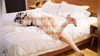 【AI换脸视频】刘亦菲 白网美腿女仆