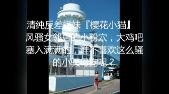 FC2-PPV-4538520 綺麗なお姉さん好き集合【高清無碼】