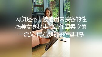 MSD-129 越南女房仲卖房送逼 为求销售精洗全身 麻豆传媒映画