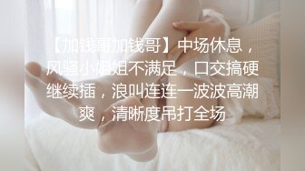 【新片速遞】淮安Ts女王D罩杯陈梦婷❤️ -大晚上的又说要来一次，那就满足他吧，大波姐姐叫骚声醉人，口活更是骚得没边！