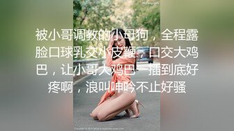 苏州园区小母狗