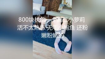  劲爆干柴烈火极品小情侣高铁厕所激战，女主这颜值也太正点了