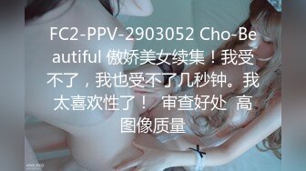 FC2-PPV-2903052 Cho-Beautiful 傲娇美女续集！我受不了，我也受不了几秒钟。我太喜欢性了！  审查好处  高图像质量