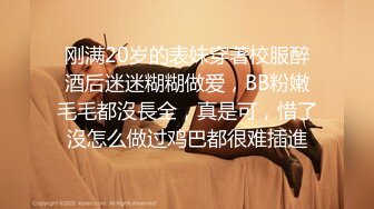 极品颜值妹子，模特身材女神级别撩骚狼友露三点，展现极品美鲍鱼1