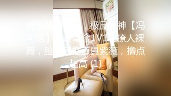 国产麻豆AV 麻豆US LAX0056 POV坦诚的荡妇 Skylar Snow