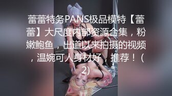 蕾蕾特务PANS极品模特【蕾蕾】大尺度内部资源合集，粉嫩鲍鱼，出道以来拍摄的视频，温婉可人身材好，推荐！ (2)