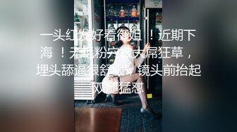 【厕拍精品】游乐场女厕刁钻角度偷拍8位年轻貌美的少妇各种美鲍 (1)