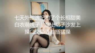 外淑女内骚的少妇