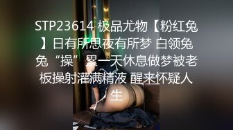 STP23614 极品尤物【粉红兔】日有所思夜有所梦 白领兔兔“操”累一天休息做梦被老板操射灌满精液 醒来怀疑人生