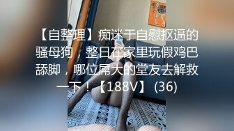 网调小贝叼内裤