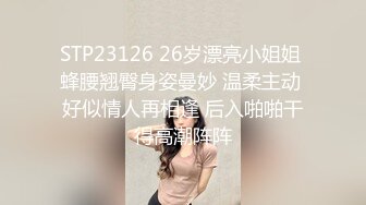 STP23126 26岁漂亮小姐姐 蜂腰翘臀身姿曼妙 温柔主动 好似情人再相逢 后入啪啪干得高潮阵阵