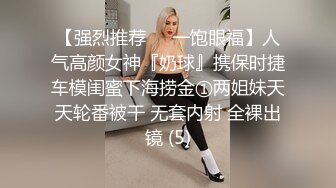 MFK-0026年轻的家政妇