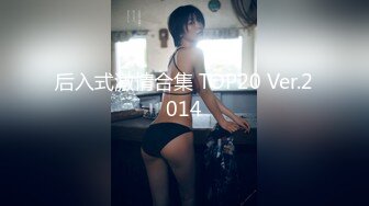 后入式激情合集 TOP20 Ver.2014