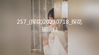 APNS-265 恥辱の抵当妻 廣瀨里緒菜