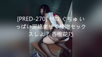 [CPDE-052] 最強属性52 若宮穂乃