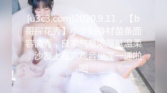 [u3c3.com]2020.9.11，【b哥探花秀】小少妇身材苗条面容清秀，良家气息浓厚挺温柔，沙发上抠穴观音坐莲一通啪啪