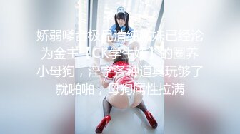 高颜值性感孕妇【小点点】超漂亮的极品孕妇天天都被干~丝袜美腿~骑乘自慰【92V】 (20)