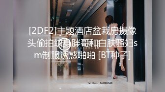 [2DF2]主题酒店盆栽房摄像头偷拍纹身胖哥和白肤骚妇sm制服诱惑啪啪 [BT种子]