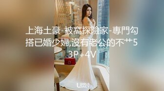 91大神呆哥-酒店开房各种姿势干动车偶遇的极品美少妇