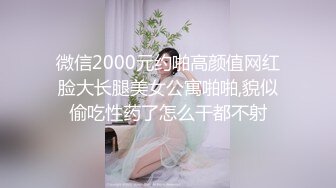 96超级床上接班人（国语中字）