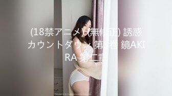 集団ストーカーによるOLわ●せつ投稿映像 りほ