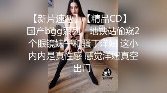 车震白领少妇 口交 女上位