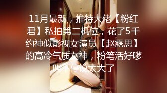 STP27467 调教淫奴大神小二先生MRTU调教性奴专场 小奴隶Cos蕾姆萝莉强制淫交 高频榨汁差点飙射 小母狗被肏到瘫软晕厥