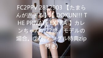 FC2PPV 2812903 【たまらんが過ぎる】【 DOKUN!!! THE PRIVATE EXTRA 】カレンちゃん / 22歳 / モデルの場合。②(別アングル特典zip付き)