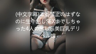 『三级』 復仇者联盟H版