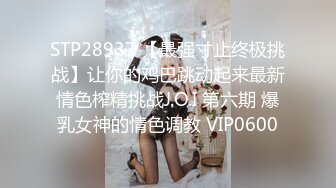 SWAG招牌S级爆乳尤物princessdolly 突然上门的水电工！正在自慰到一半插着按摩棒去开门