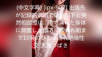 2024年10月，【重磅】约啪大神【狮子座】，极品学妹女神，超美，露脸特写美穴，插入，娇喘声好销