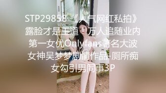 麻豆傳媒 MCY0229 迷奸癡迷已久的性感大嫂 夏晴子