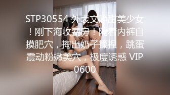 兼职小白领，背着男友赚外快，美乳长腿温柔配合，花样繁多视觉盛宴