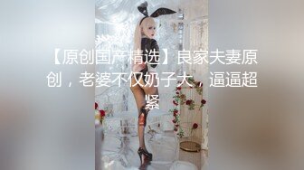 漂亮的少妇漆工